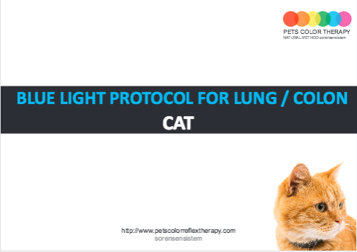 Cat blue reflex protocol lung colon
