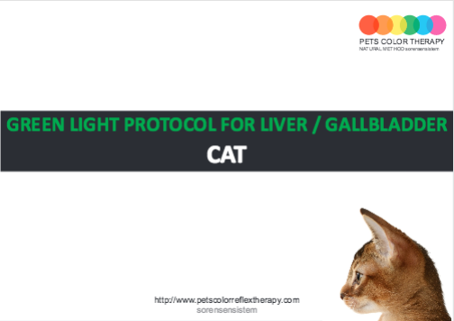 Cat green light protocol liver gallbladder