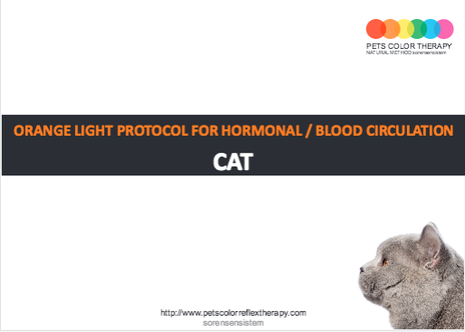 Cat orange light protocol hormonal