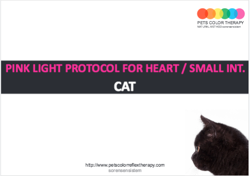 Cat pink light protocol heart