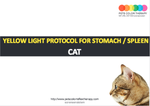 Cat yellow light protocol stomach spleen