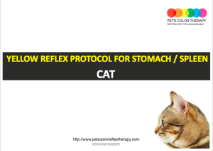 Cats yellow reflex protocol stomach