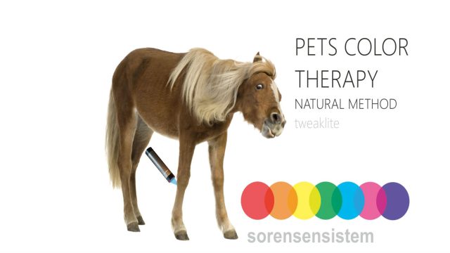Horse knee injury treatment