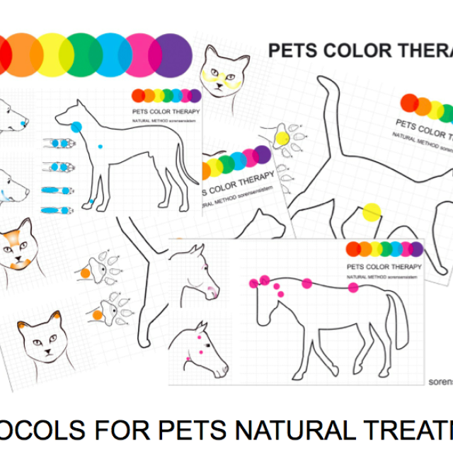 Color Light and Reflex Therapy Protocols