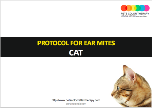 cat color ear mites