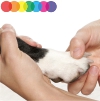 dog paw care tips