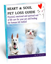 heartsoul_pet-loss_book
