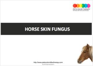 horse thrush treatment