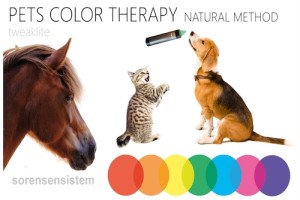 color therapy for pets